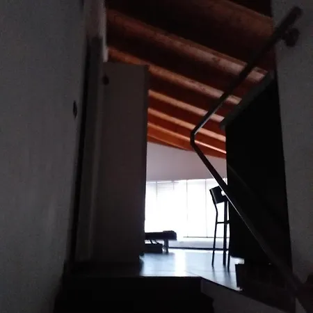 Loft Daire *